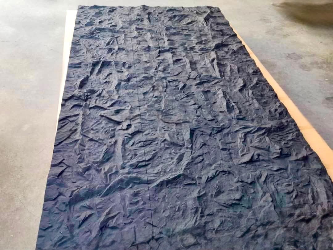 Panel Guri